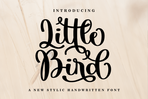 Little Bird: The Perfect Script Typeface for Handmade Creations